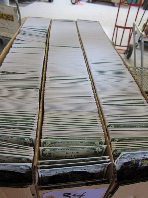 Flower Seeds