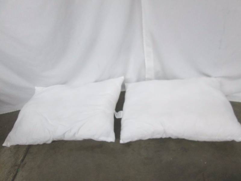 lot 48 image: Pair Standard Pillows