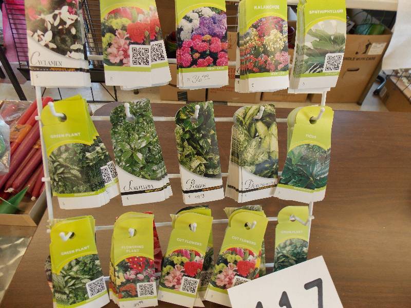 PLANT CARE TAGS AND WALL HANGER FOR TAGS