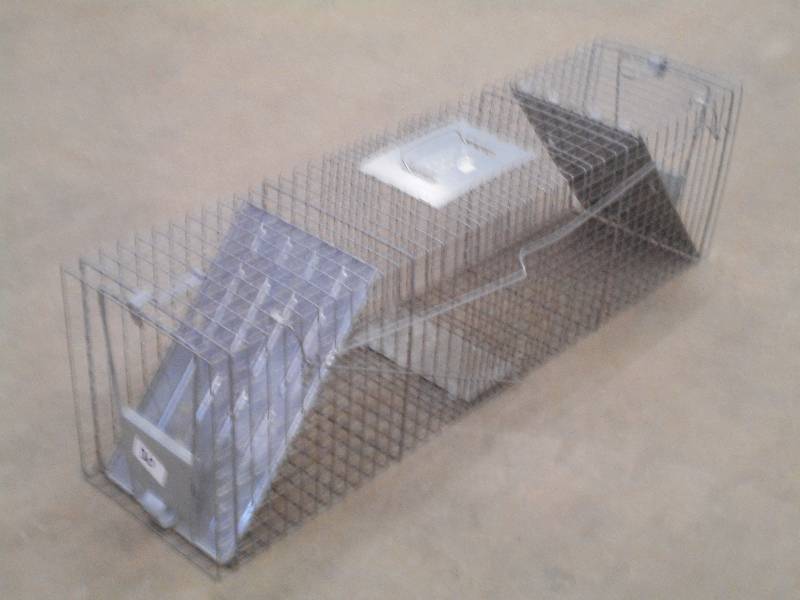 lot 30 image: Large Sized Racoon Live Trap