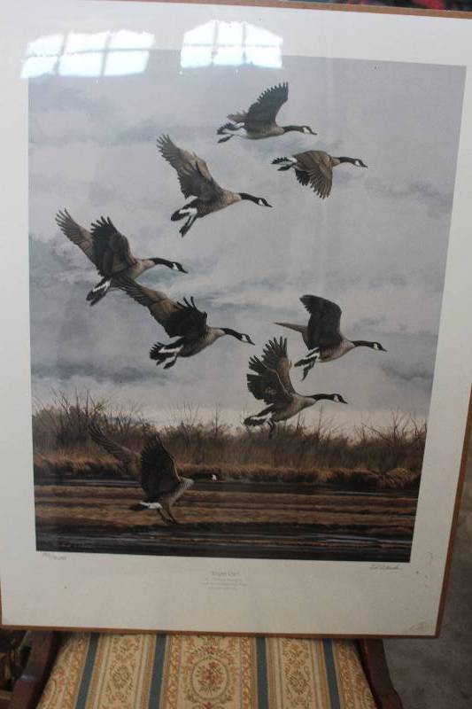 Framed Wall Art