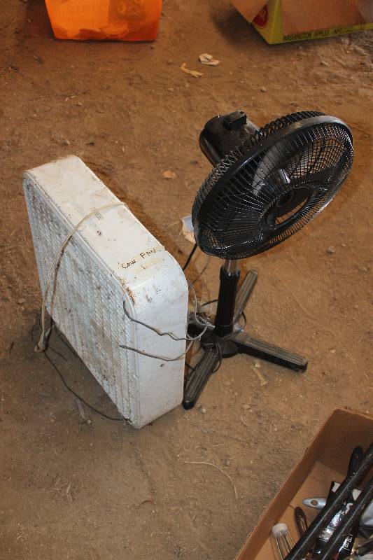 Lot of (2) Floor Fans