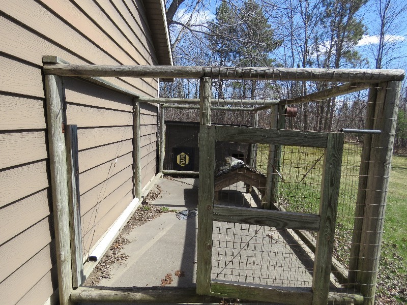 lot 25 image: Dog Run and dog house