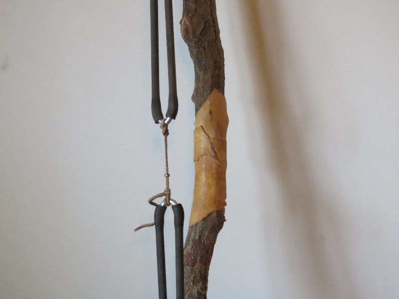 magical tree branch bow