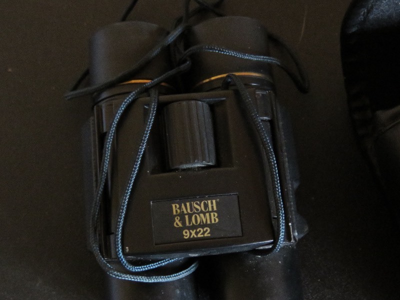 lot 172 image: Binoculars with case