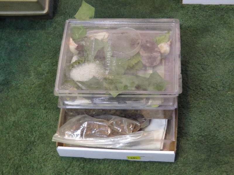 lot 251 image: Aquarium supplies