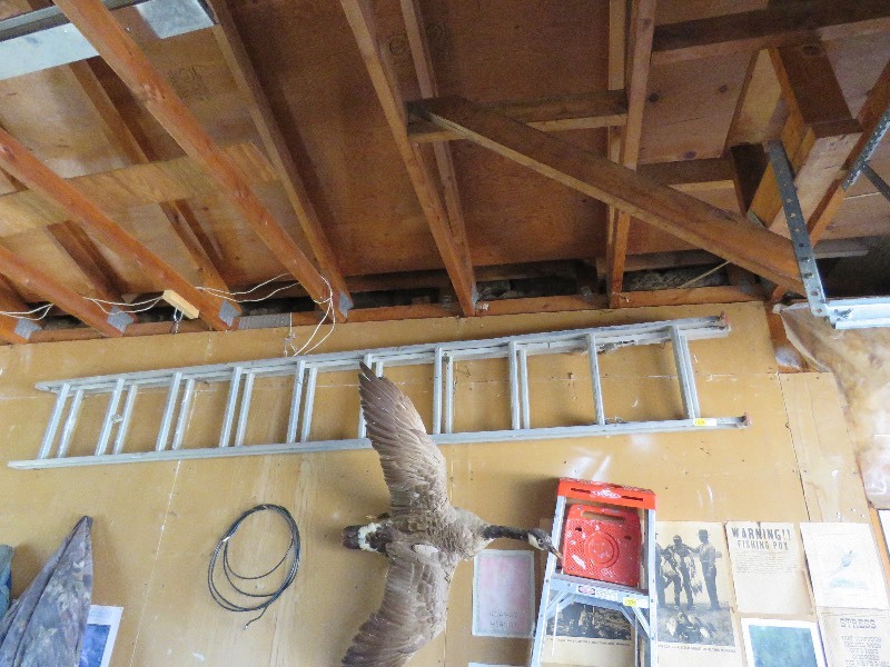 lot 371 image: Aluminum Ladder