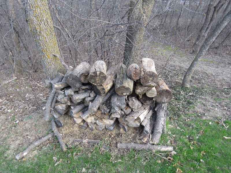 lot 379 image: Firewood