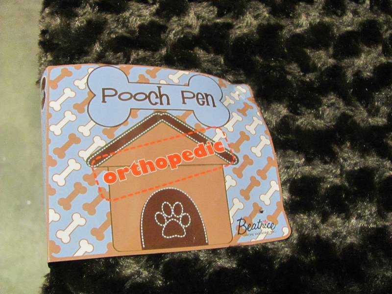 Pet Accessories