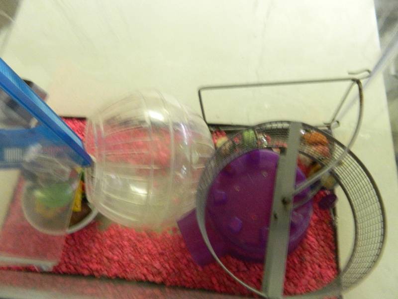 Aquarium