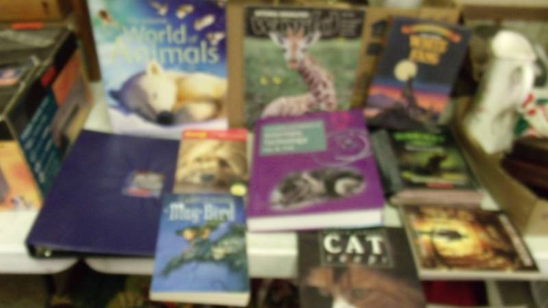 Books