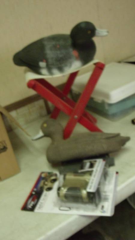 Folding Stool, Ducks, Night Scope