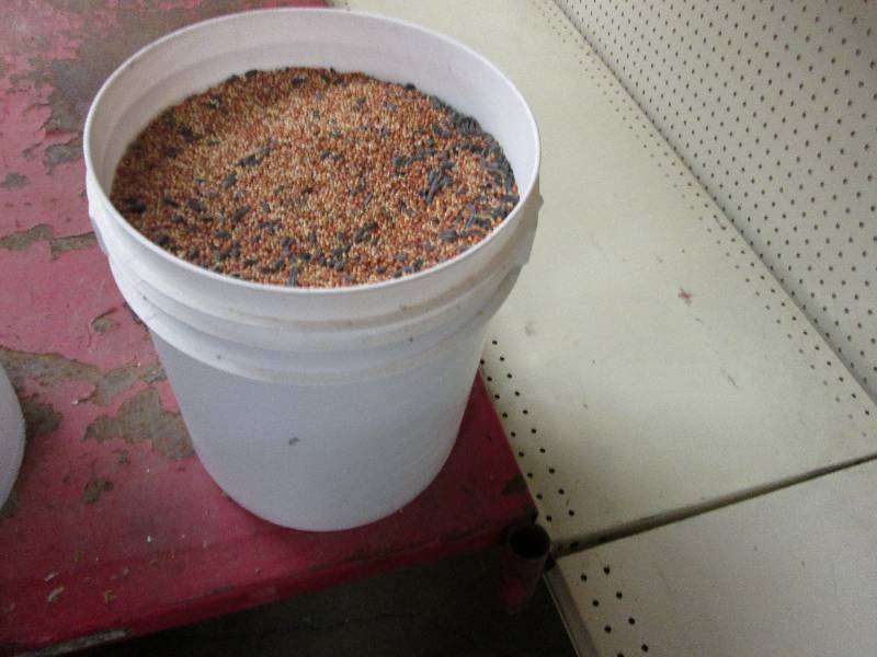 Lot of bulk Kroger Wild Bird Seed ...
