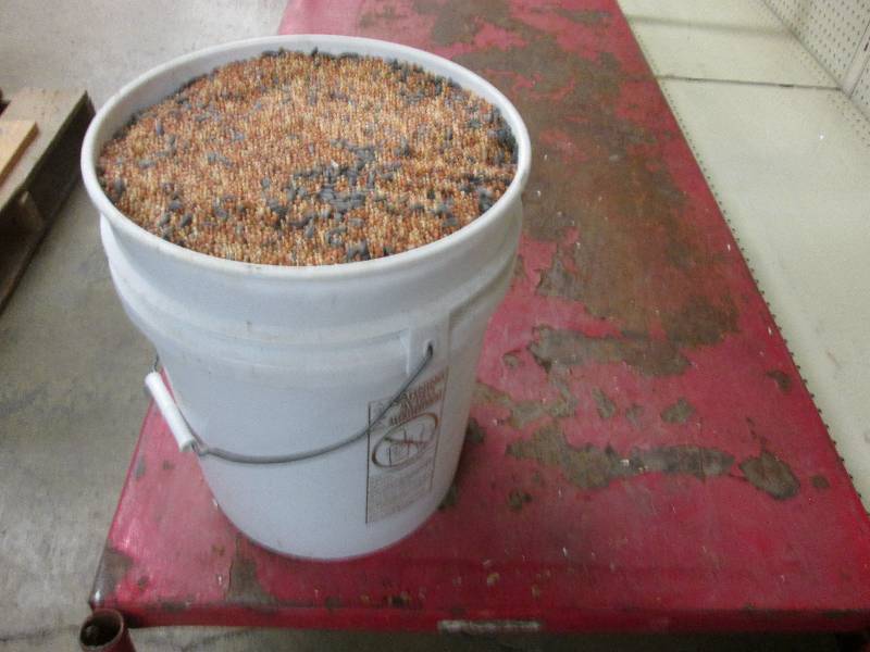 Lot of bulk Kroger Wild Bird Seed ...