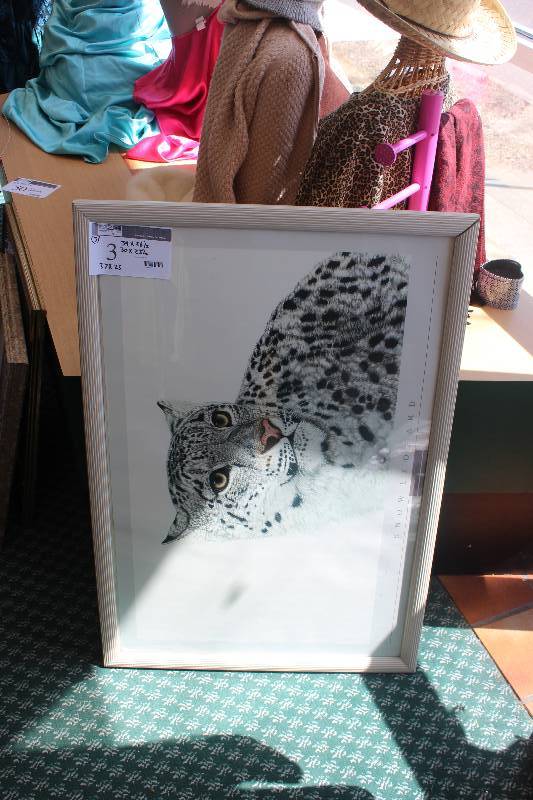 Lot of (3) Framed Wall Art