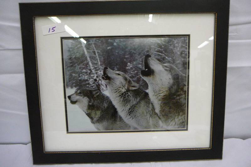 Wolf Print