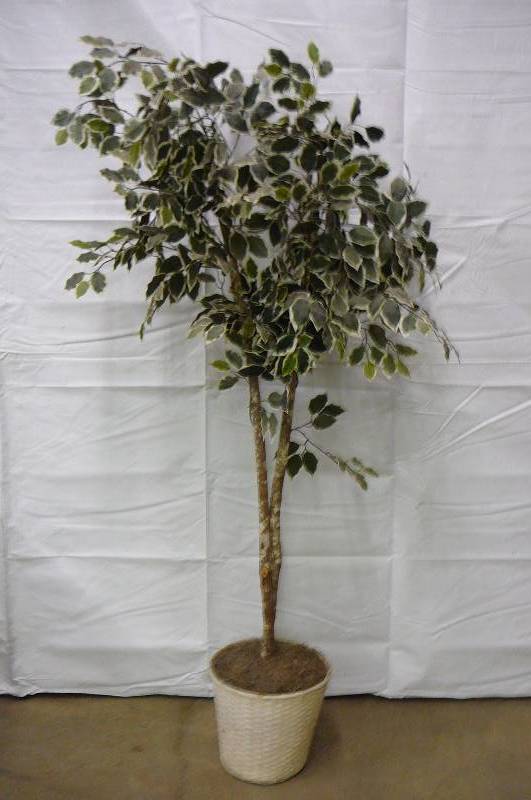 Decorative Tree