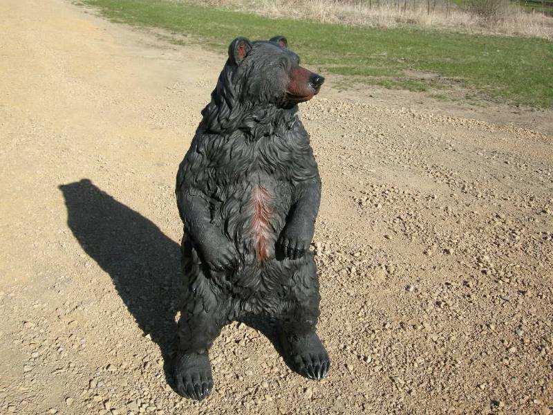 lot 29 image: Standing Black Bear