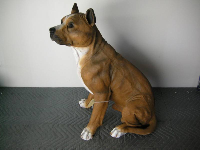lot 36 image: Pit Bull