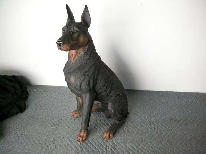 lot 37 image: Doberman Dog