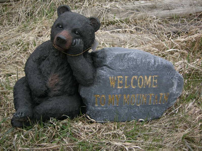 lot 42 image: Bear By Rock Welcome to Mountain