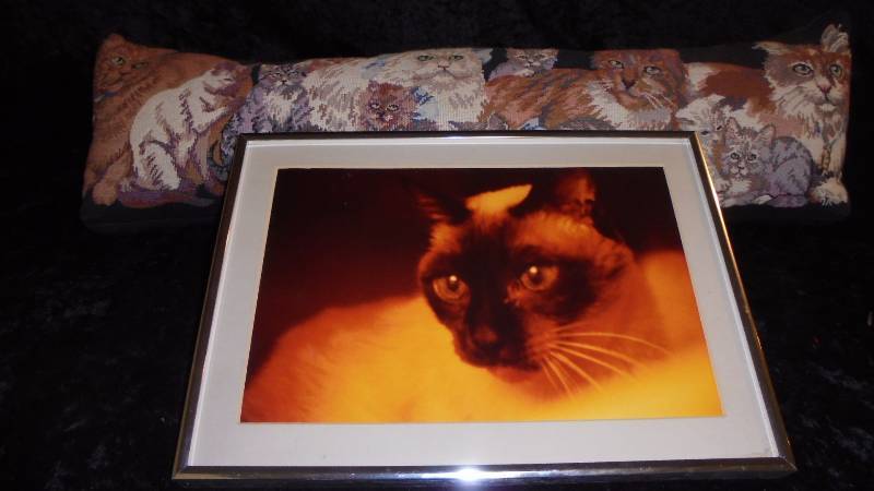 Lot - Cat Tapestry Pillow & Framed Print