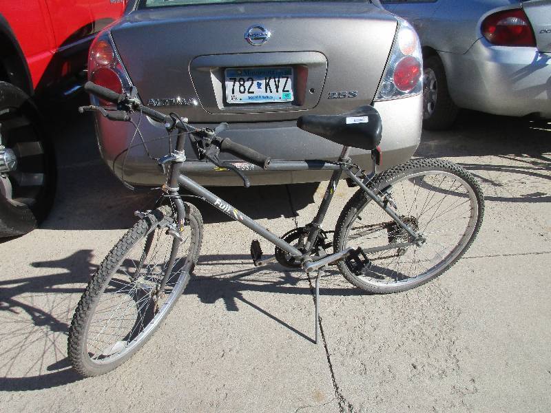 Fuji Bike