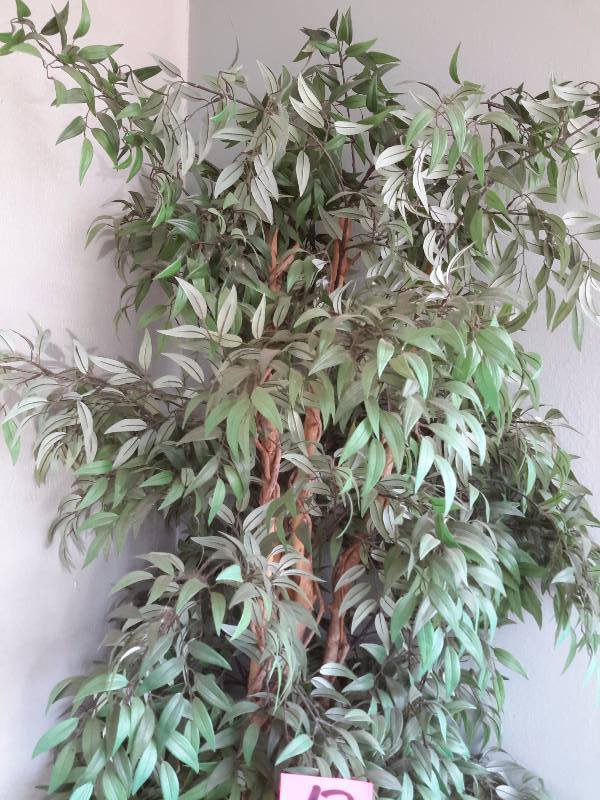 lot 13 image: 2, Artificial Treeplants