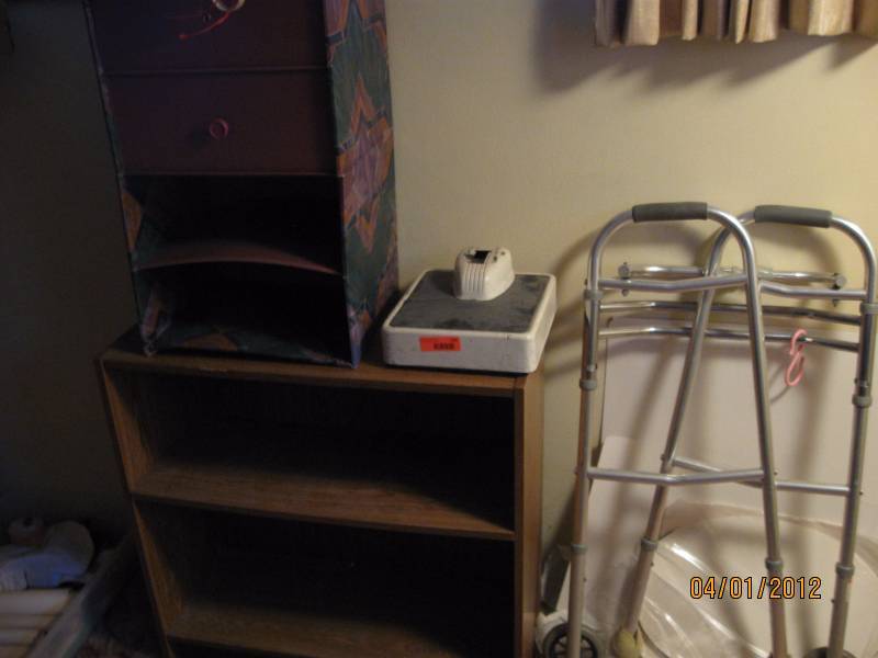 Walker, shelf, scale, hair dryer