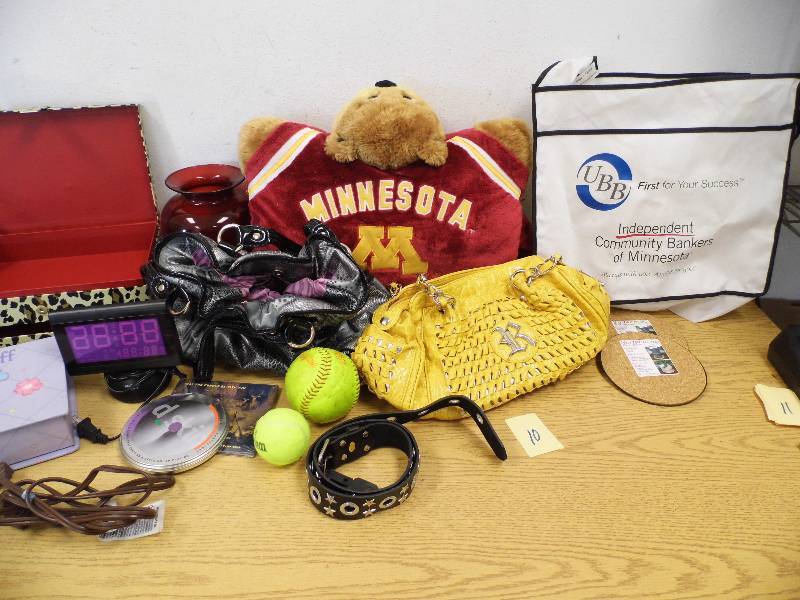Minnesota Gophers Pillow - Purses