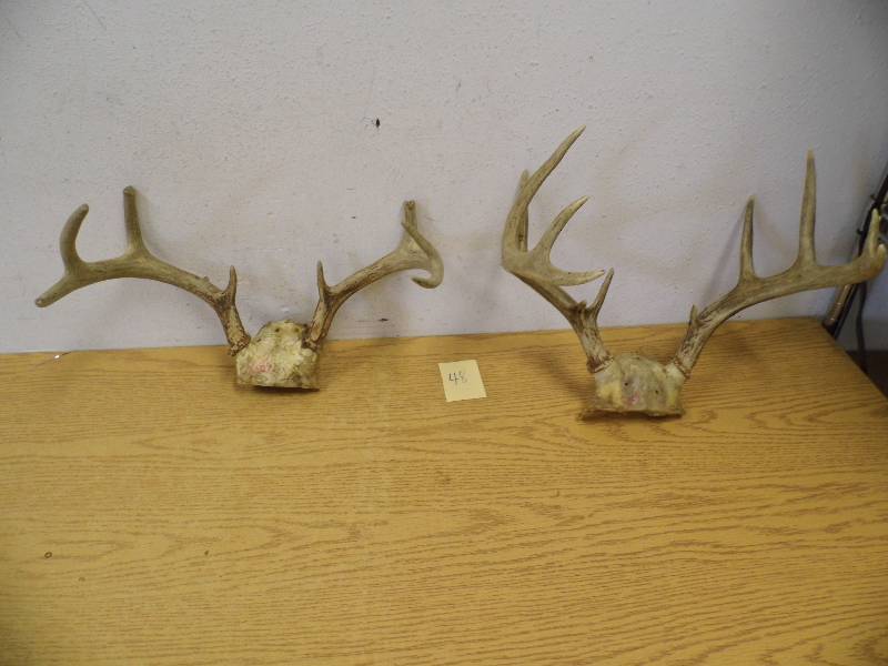 2 Sets Deer Antlers