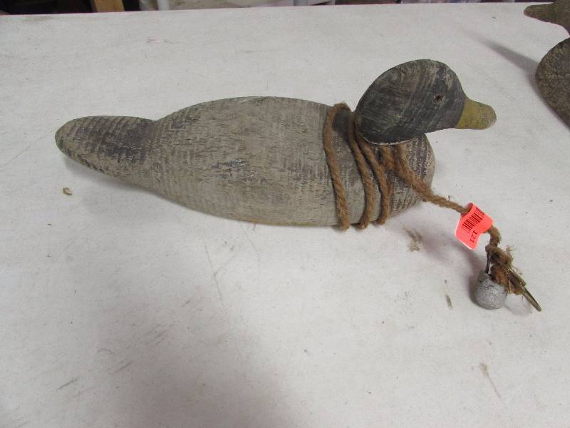 Duck Decoy