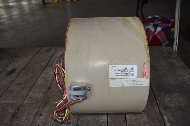 Squirrel Cage Motor