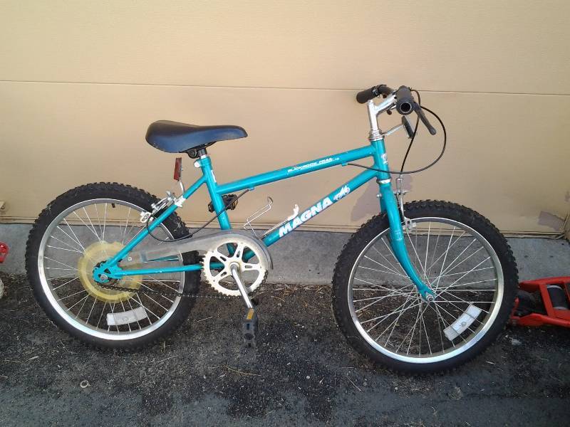 magna 20 inch mountain bike