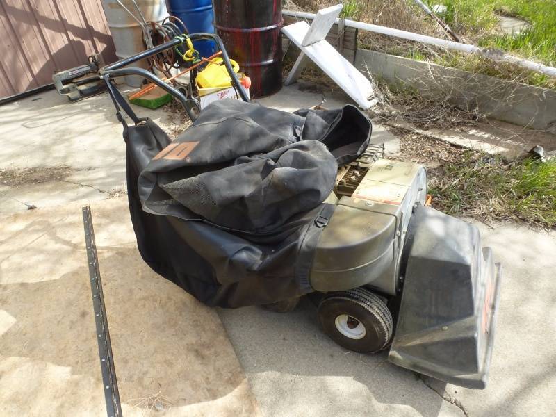 lot 35 image: Echo Leaf Vacuum CSV BS