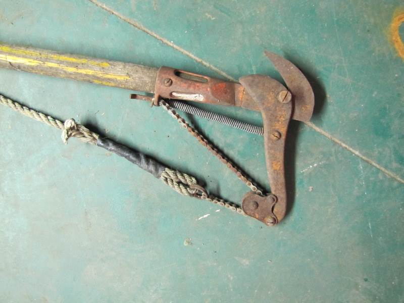 lot 5 image: Vintage Yellow Tree Branch Trimmer