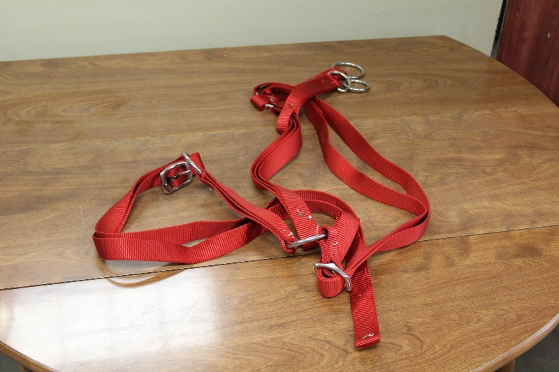 lot 73 image: Harness