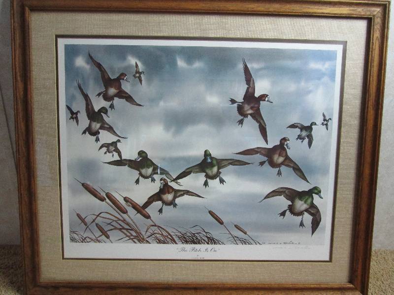 Donald W Blais Wild Life Picture