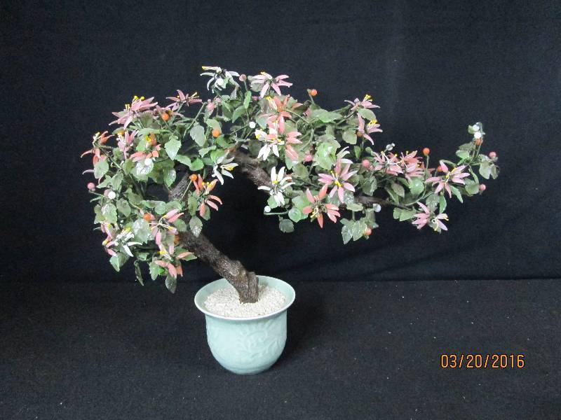 Glass Jade Tree