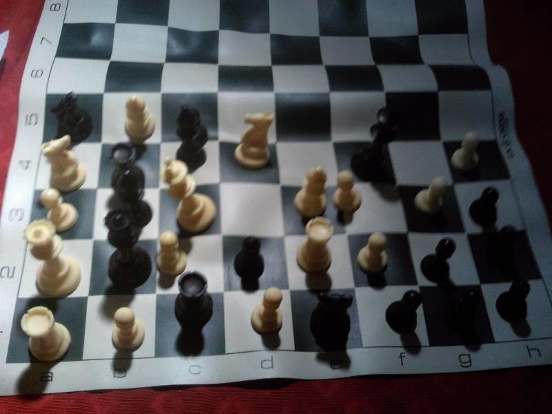 chess set with leather board