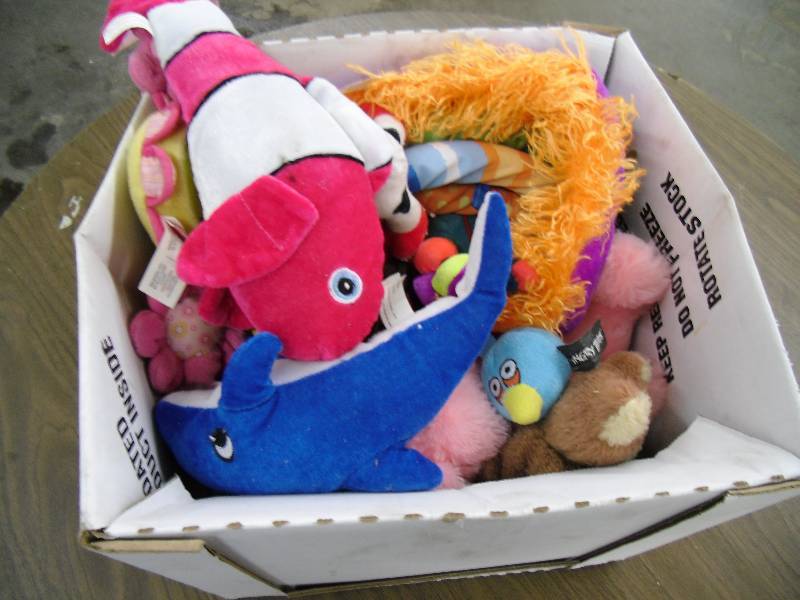 Stuffed Animals