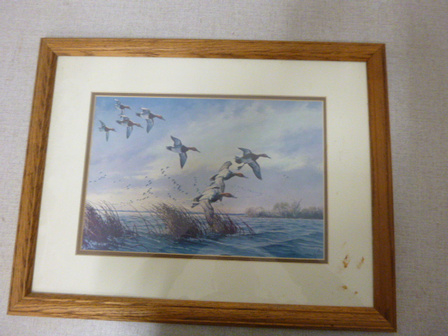 Duck Framed Print