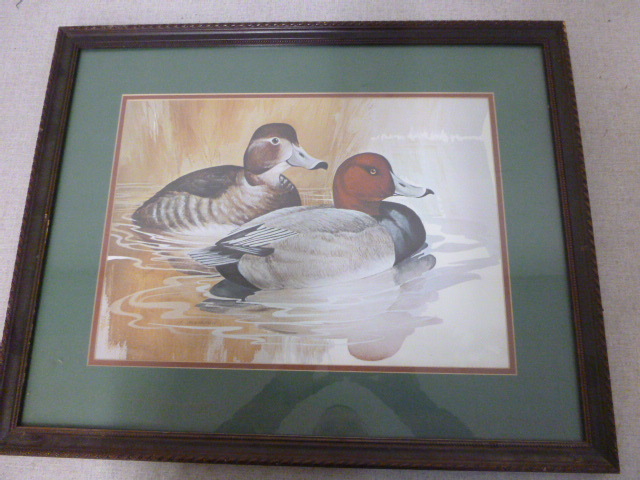 Duck Framed Print