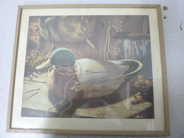 Duck Framed Print