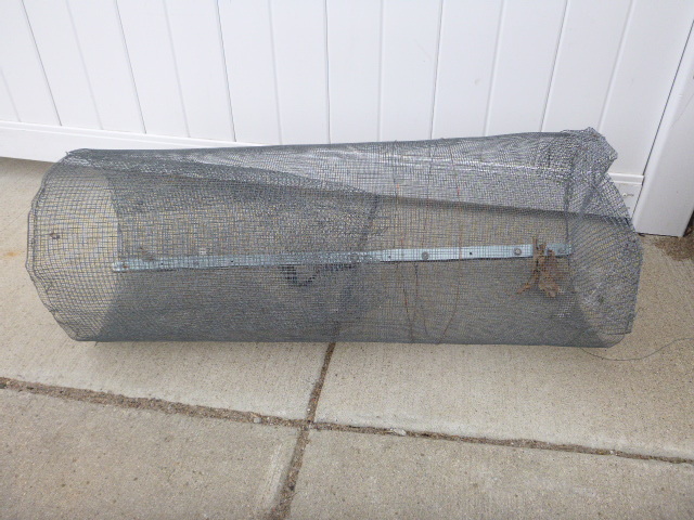 Minnow Trap