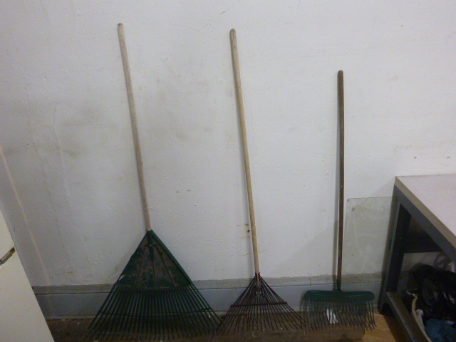 3 Rakes