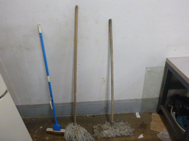 3 Mops