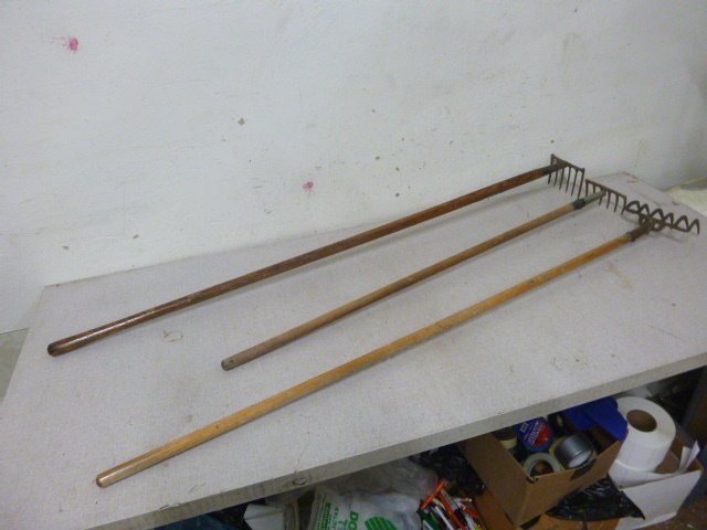 3 Garden Rakes