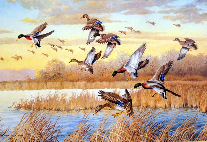 Two Duck Prints & Ducks Unlimited Figurine