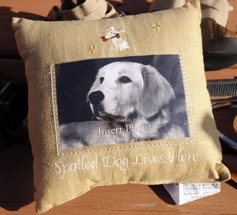 Dog Supplies